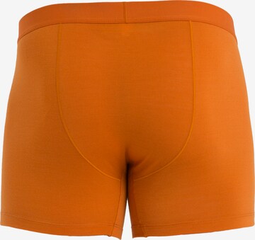 ICEBREAKER - Boxers 'Anatomica' em laranja