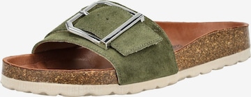 COSMOS COMFORT Pantolette in Grün: Vorderseite