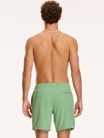 Shiwi Plavecké šortky 'MIKE' – zelená