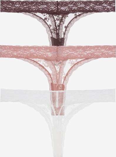 Dorina Stringit värissä norsunluu / suklaa / vanha roosa, Tuotenäkymä