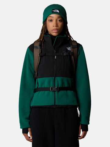 THE NORTH FACE Sports backpack 'BOREALIS' in Brown