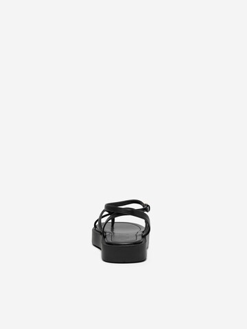 ONLY Strap sandal 'MICA' in Black