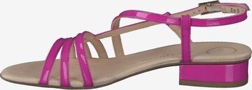 Paul Green Sandalen met riem in Roze