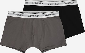 pilka Calvin Klein Jeans Apatinės kelnaitės: priekis