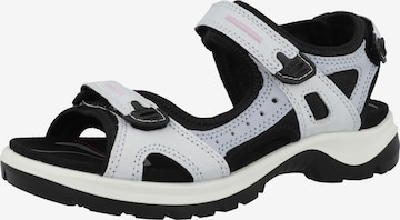 ECCO Wandelsandalen 'Offroad' in Blauw: voorkant