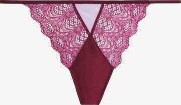 String Calvin Klein Underwear en violet : devant