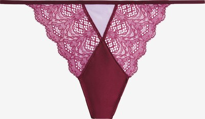 Calvin Klein Underwear String en violet rouge, Vue avec produit