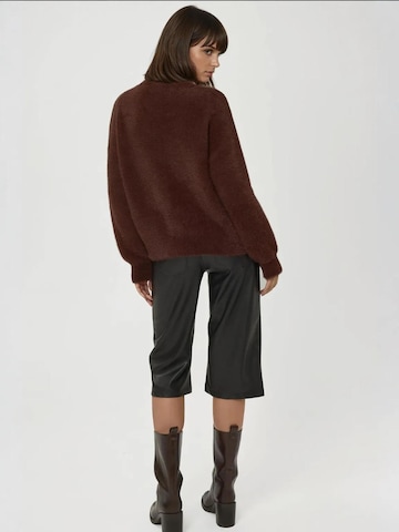 Pullover di Hiccup in marrone