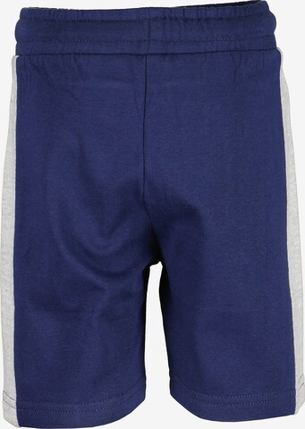 BLUE SEVEN Regular Pants in Blue