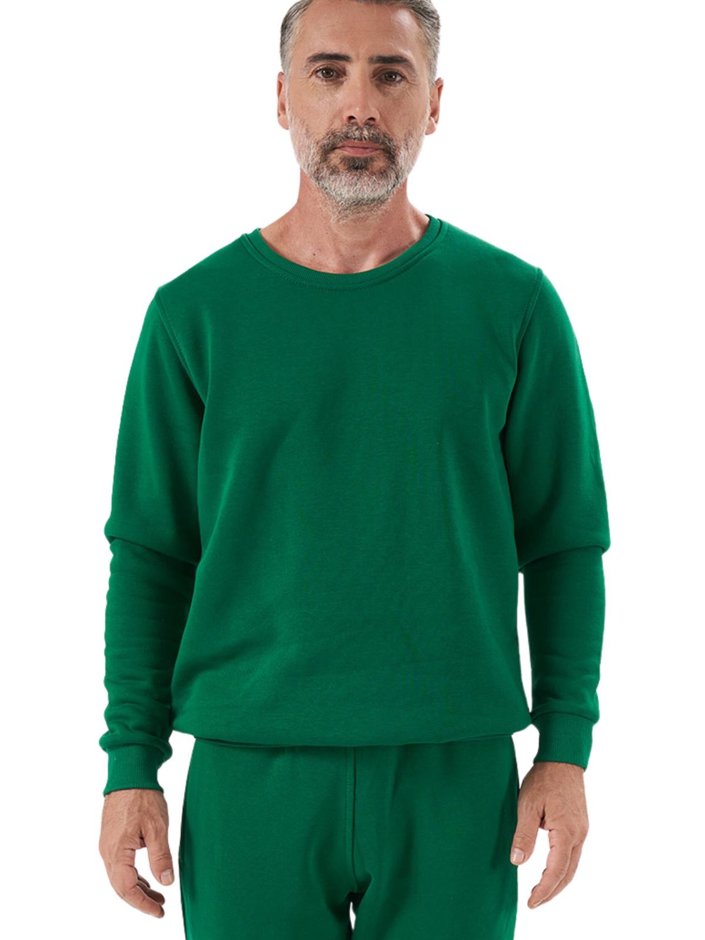 LOUIS LECLER Sweatshirt 'Carter' in Groen