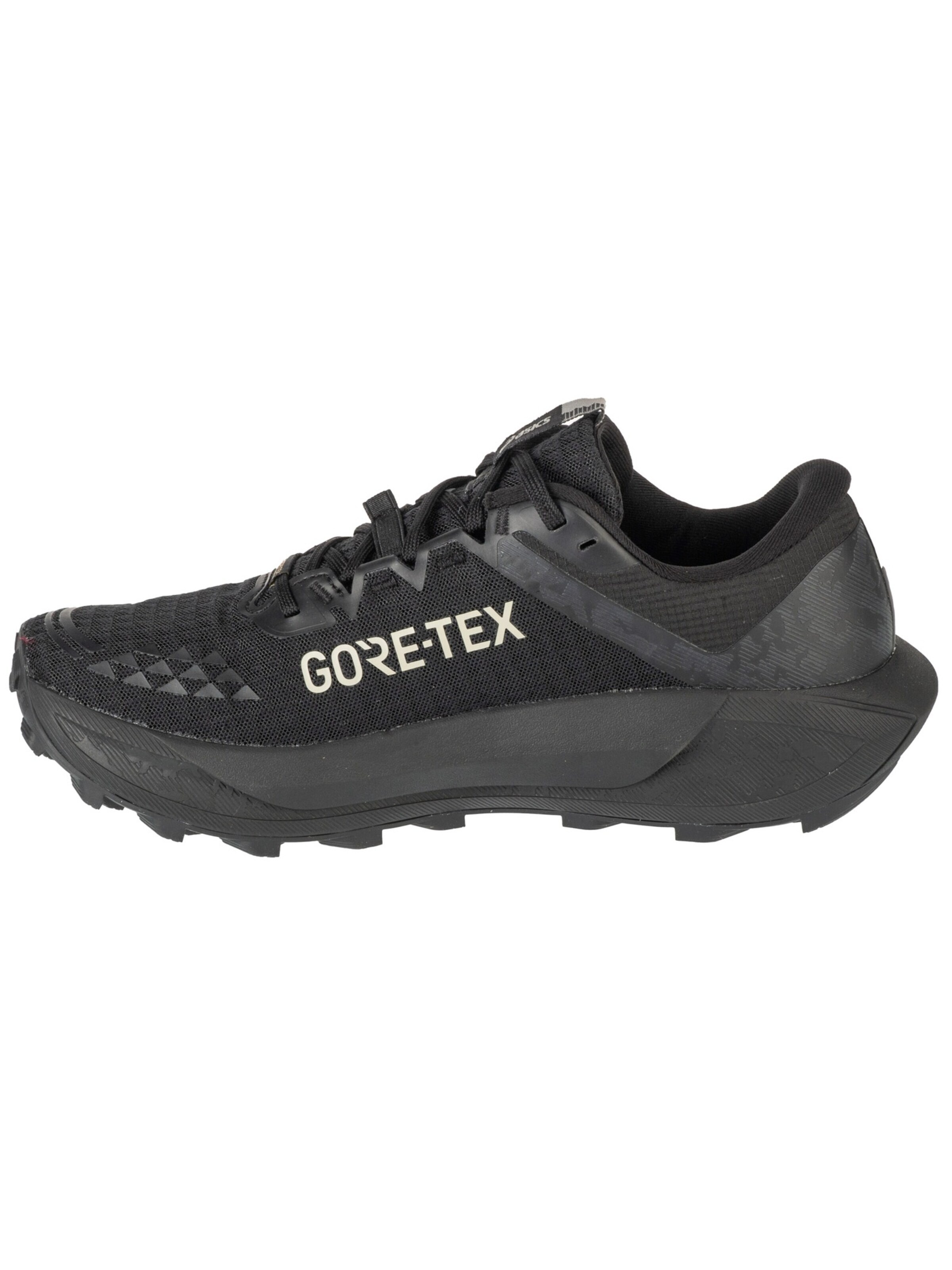 ASICS Loopschoen 'Gel-Trabuco 13 GTX' in Zwart