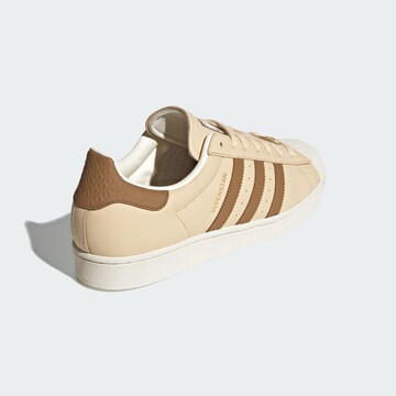 ADIDAS ORIGINALS - Sapatilhas baixas 'Superstar' em bege