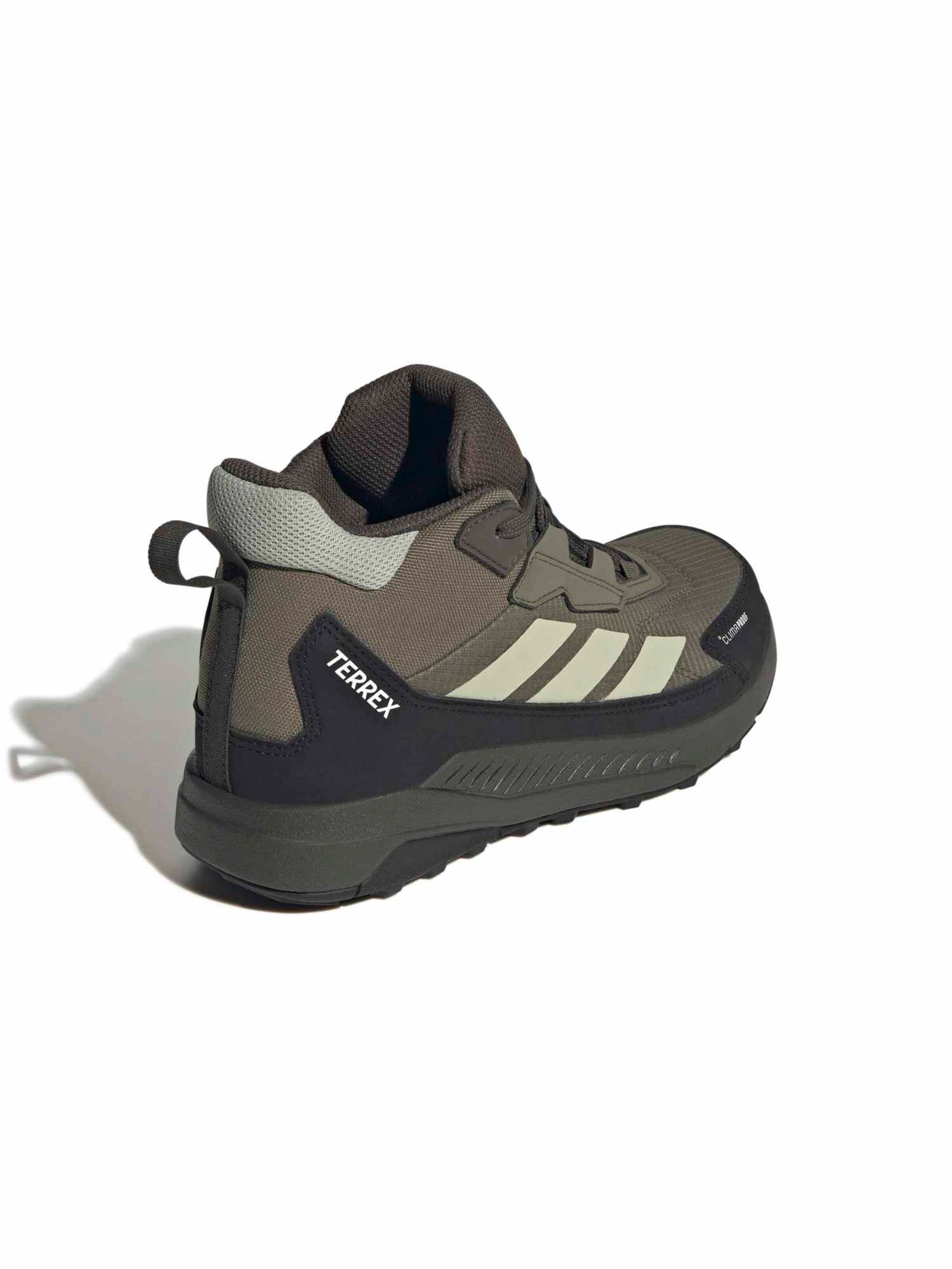 ADIDAS TERREX Kozaki 'ANYLANDER' w kolorze zielony