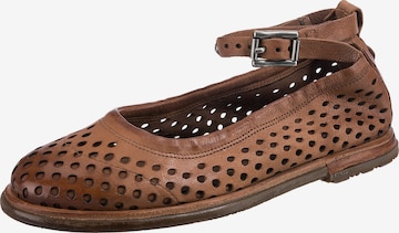 A.S.98 Ballet Flats with Strap ' Tamu' in Brown: front