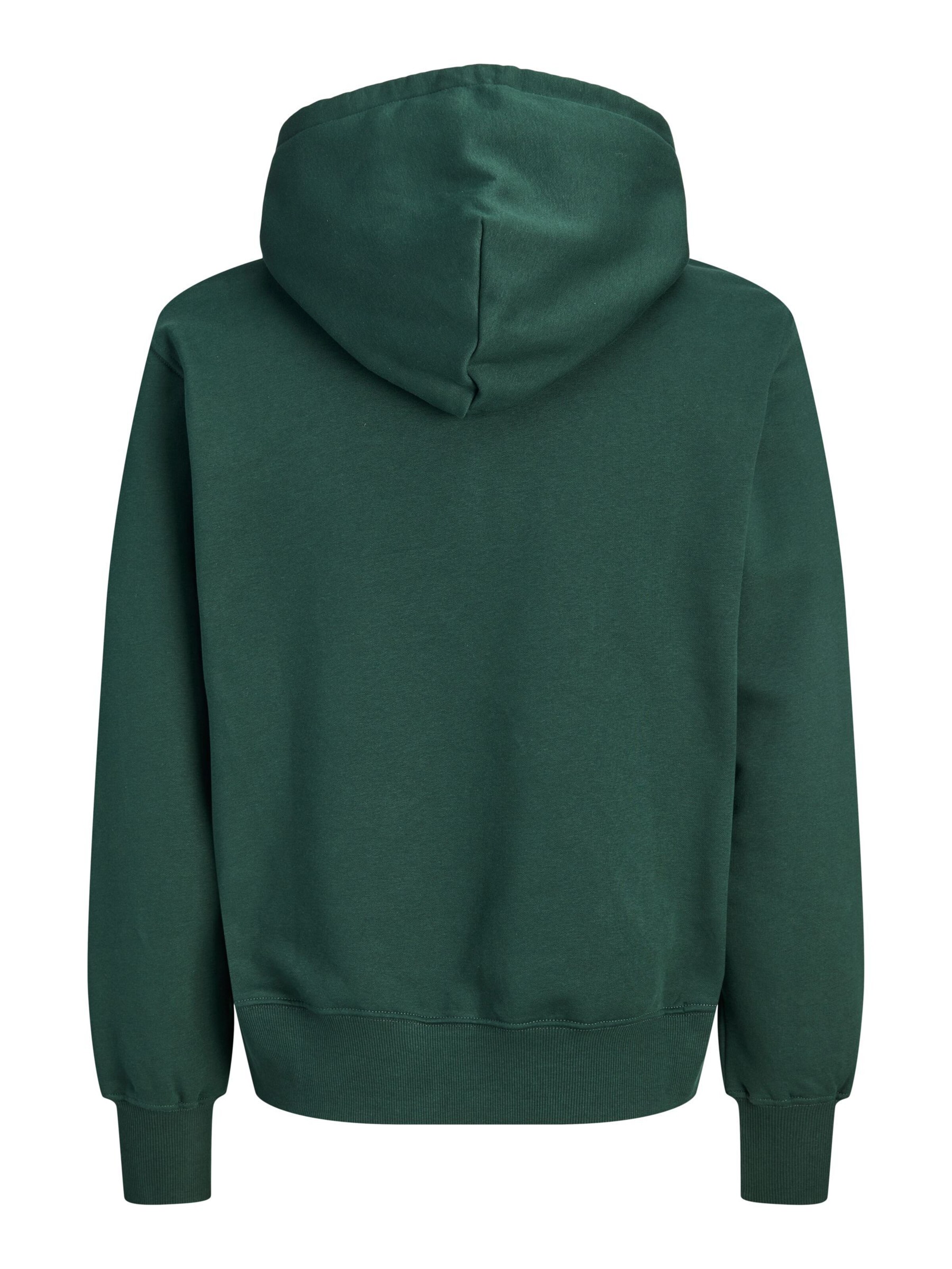 JACK & JONES Sweater in Green