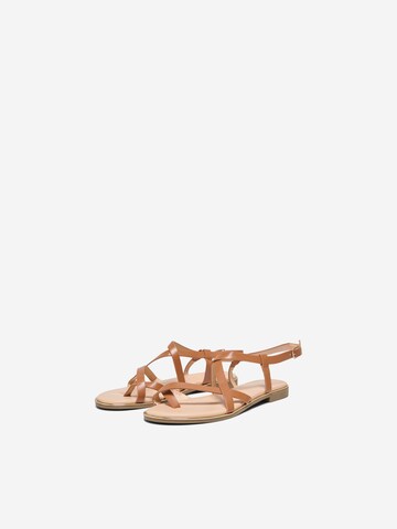 ONLY Sandalen met riem 'ONLMARI-2' in Bruin