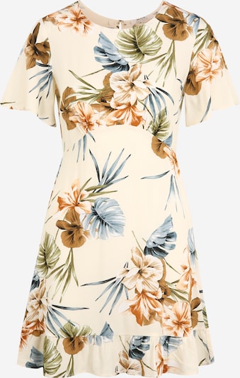Dorothy Perkins (Petite) Haljina u sivkasto bež / sivkasto plava / karamela / maslinasta / tamno narančasta, Pregled proizvoda