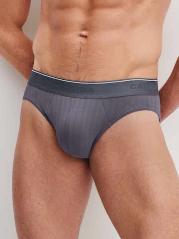 Slip 'Pure & Style' di CALIDA in grigio