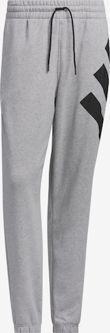 Pantaloni sportivi 'Anthony Edwards Foundation' di ADIDAS PERFORMANCE in grigio: frontale