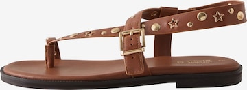 Rockett St George Klipklappere i brun: forside