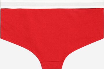 Tommy Hilfiger Underwear Panty in Blau