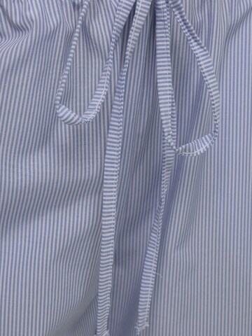 Hiccup Wide leg Broek in Blauw