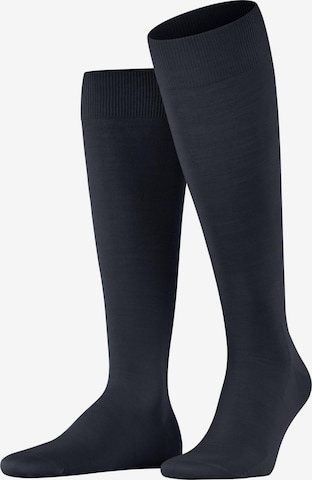 FALKE Kniestrümpfe 'ClimaWool' in Blau: Vorderseite