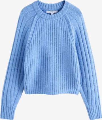 mėlyna Next Megztinis: priekis