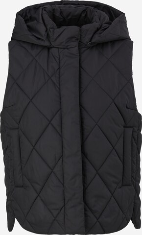 s.Oliver BLACK LABEL Bodywarmer in Zwart: voorkant