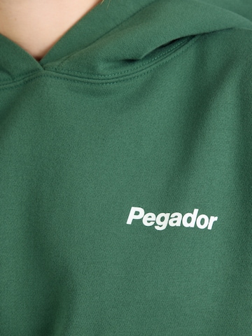 Felpa di Pegador in verde
