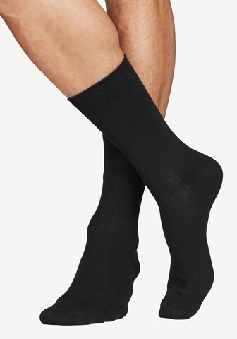 Chaussettes JACK & JONES en noir : devant