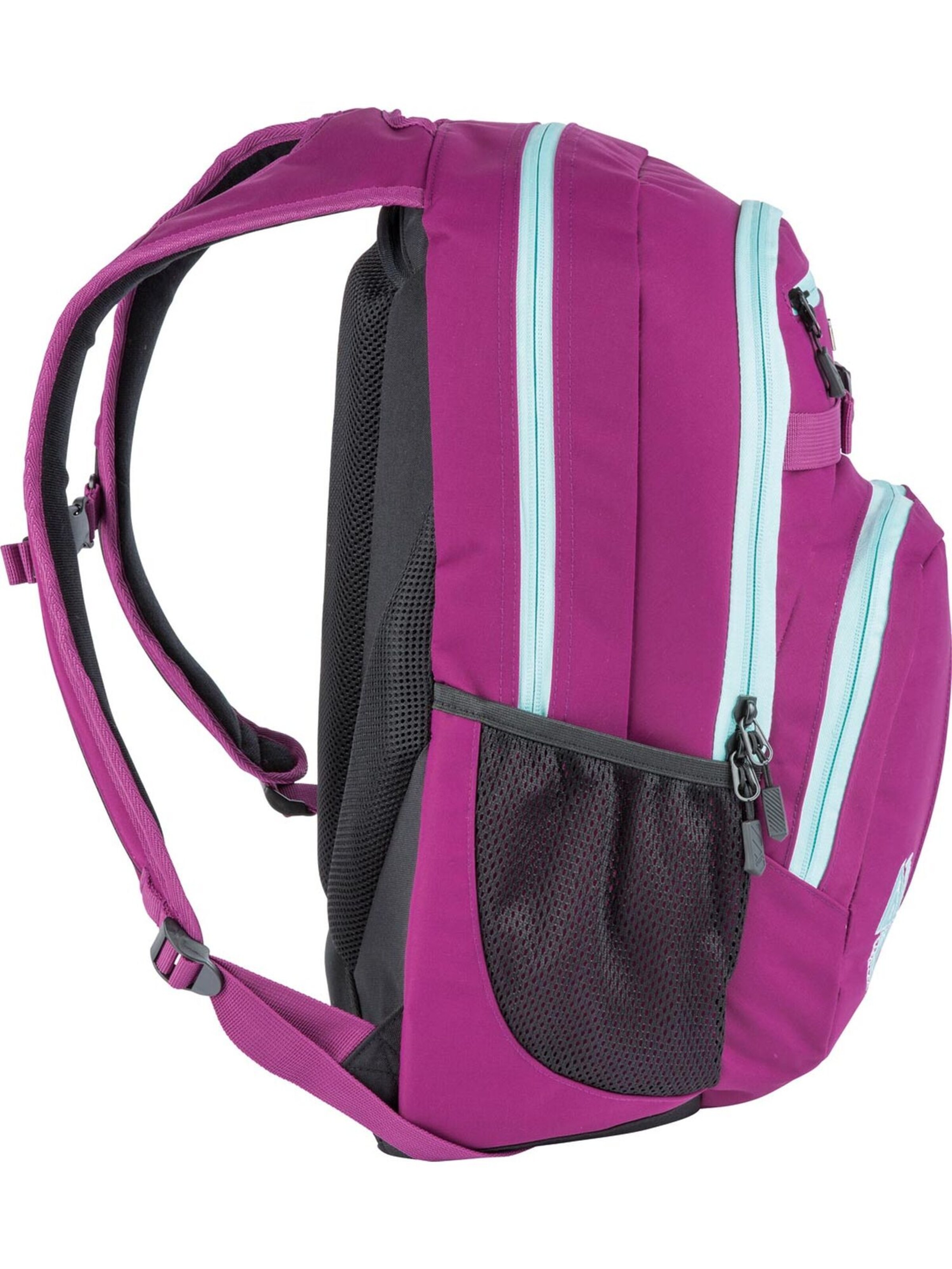 NITRO Rucksack CHASE in Pink