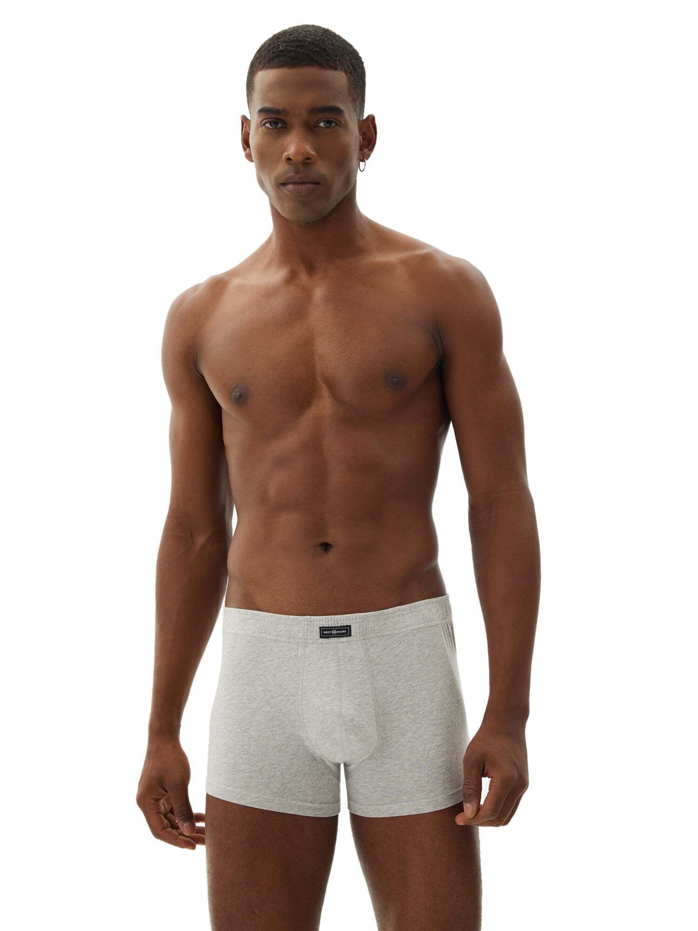 Boxer 'Arthur' di WESTMARK LONDON in grigio: frontale