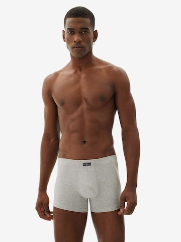 WESTMARK LONDON Boxer shorts 'Arthur' in Grey: front