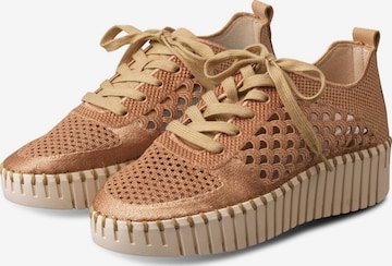 ILSE JACOBSEN Sneaker low 'Tulip' i brun: forside
