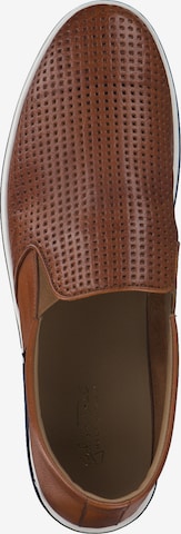 Galizio Torresi Classic Flats '440810' in Brown