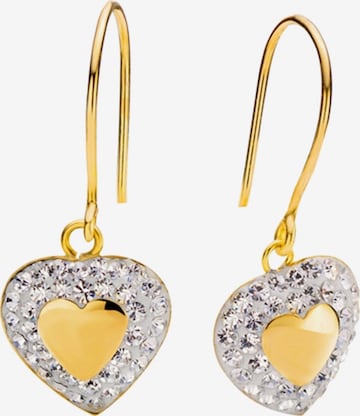 Boucles d'oreilles Lucardi en or : devant