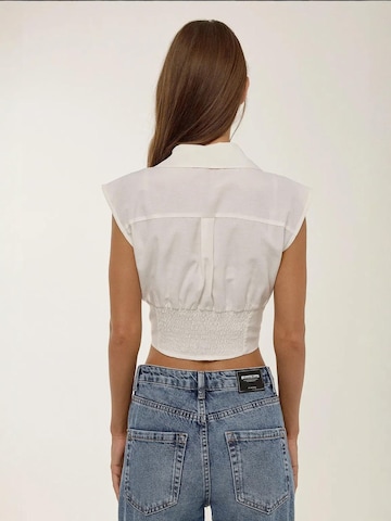 Hiccup Blouse in White