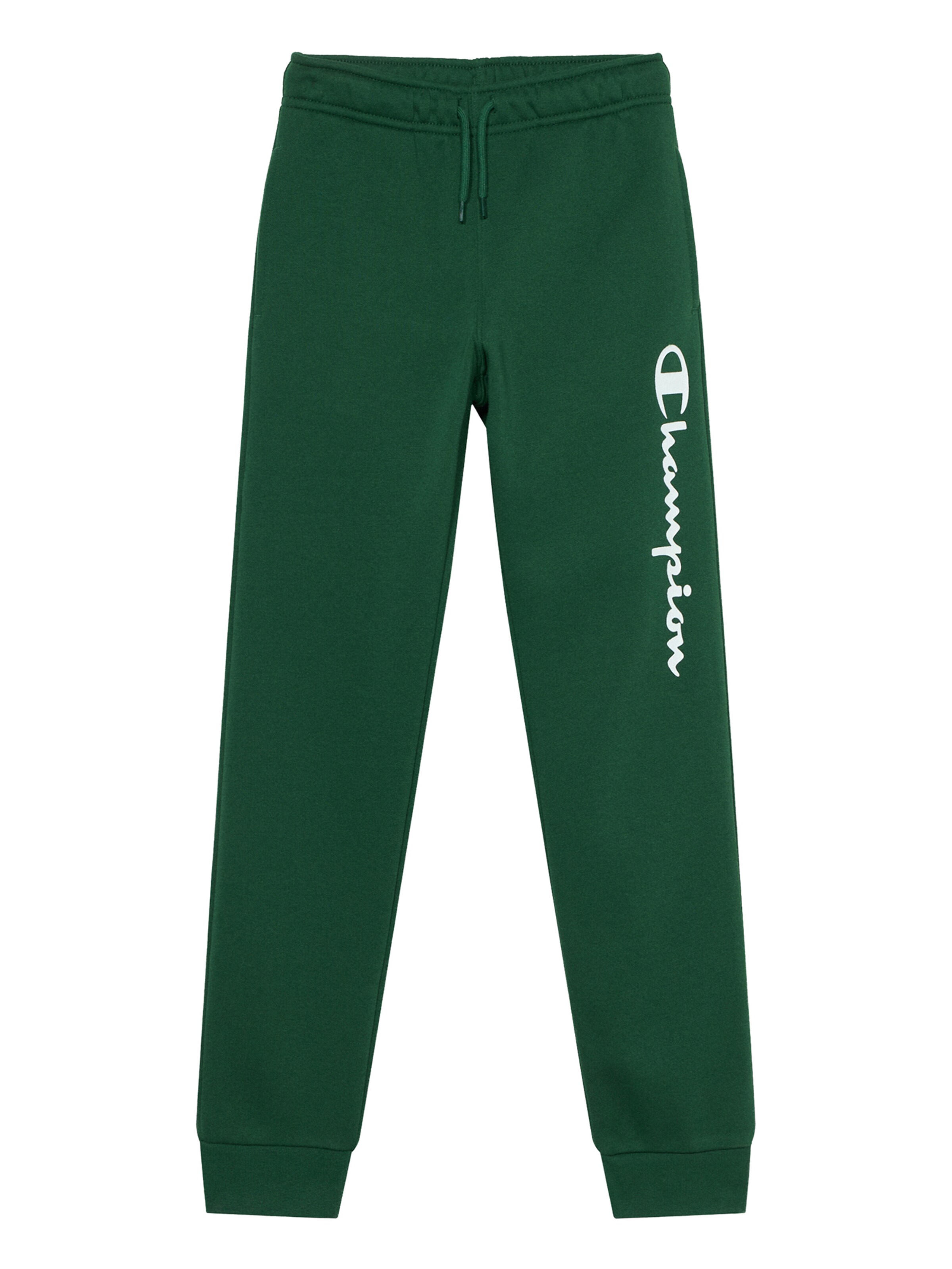 Champion Authentic Athletic Apparel Hose in Grün: Vorderseite
