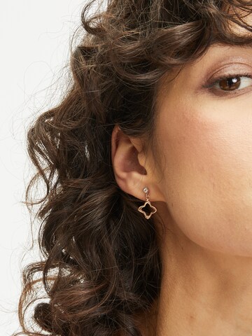Apple of Eden Ohrringe in Gold: Vorderseite