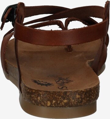 COSMOS COMFORT Strap Sandals in Brown
