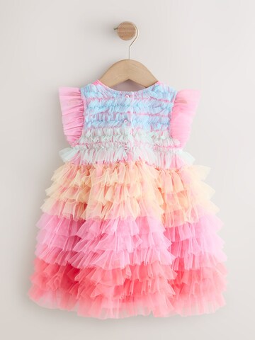 Next Dress in Mixed colours