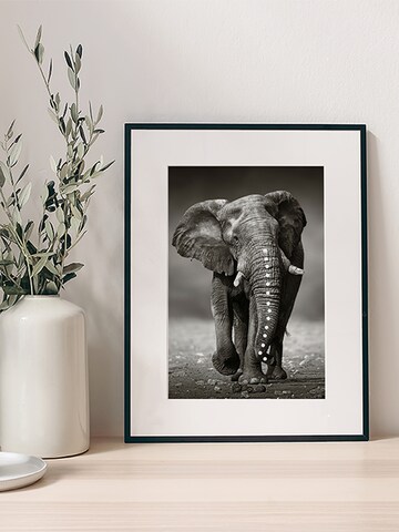 Liv Corday Bild  'African Elephant' in Schwarz