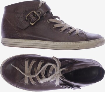 Paul Green Sneakers & Trainers in 37 in Brown: front