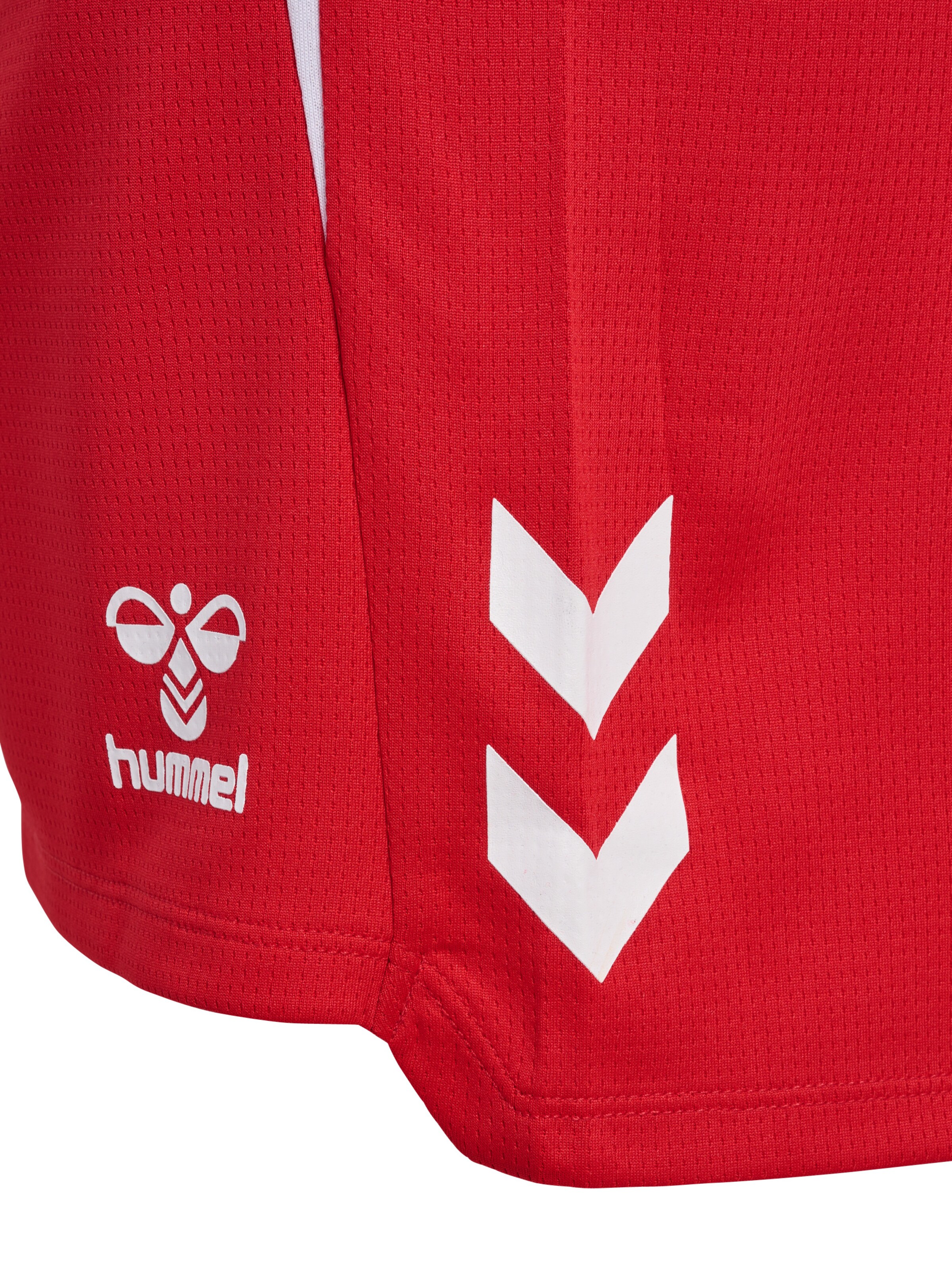 Hummel regular Sportsbukser 'Lead 2.0' i rød