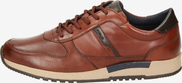 SIOUX Sneaker 'Rojaro-700' in Braun