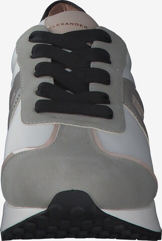 Alexander Smith Sneakers in Grey