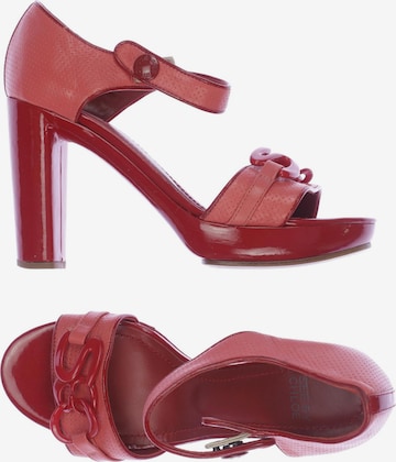 See by Chloé Pumps 38 in Rot: predná strana