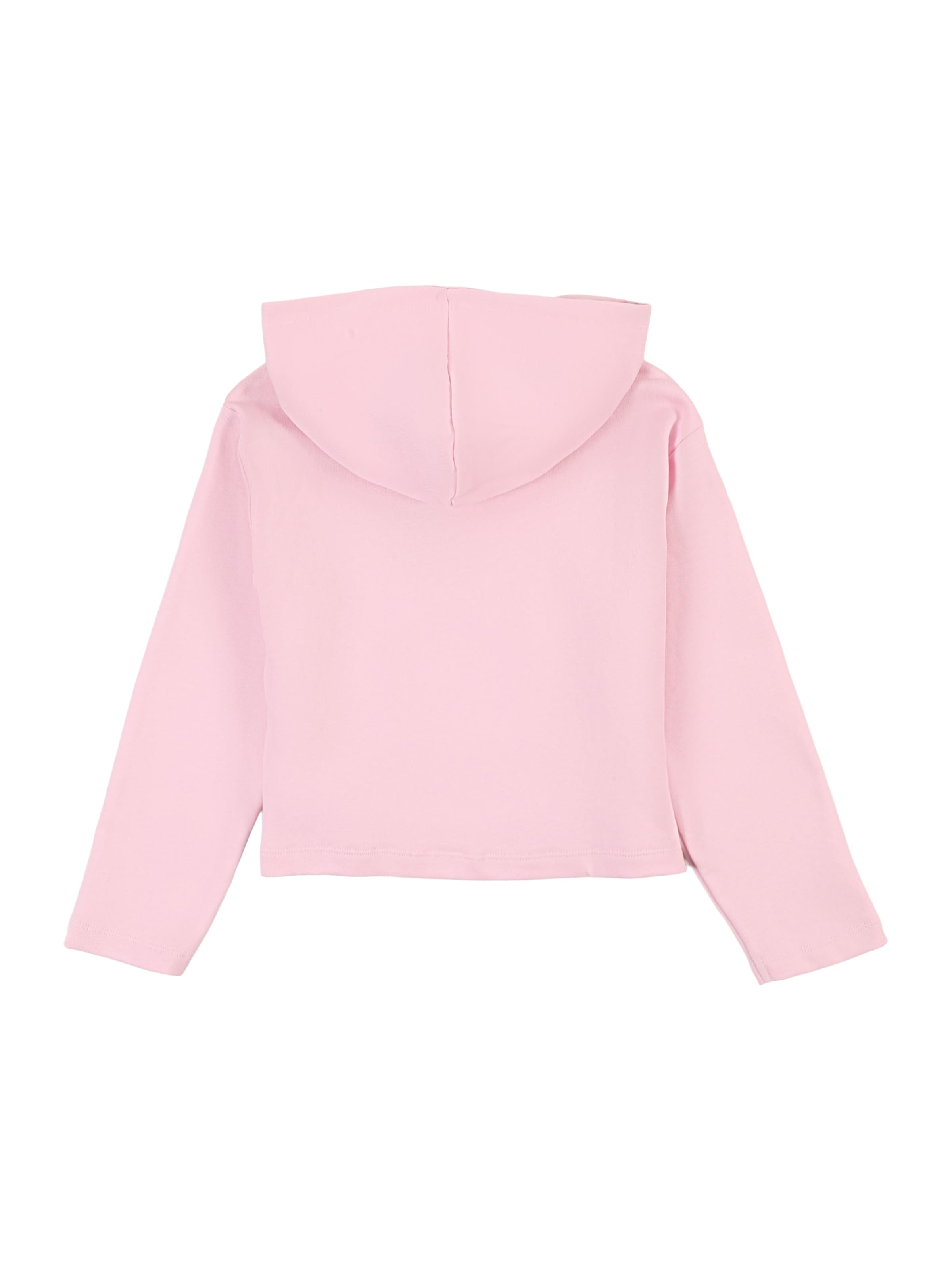 NAME IT Sweatshirt 'NKFVIALA' in Pink