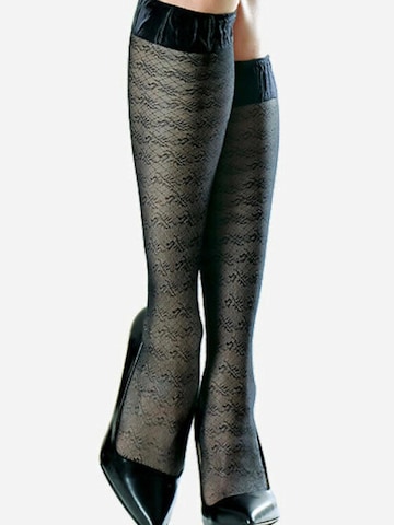Lycille Knee High Socks in Black: front